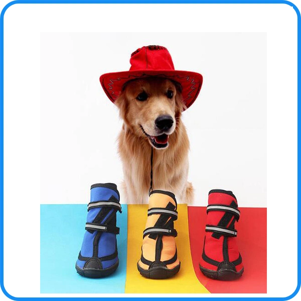 Factory Wholesale Medium and Large Luxury Pet Dog Shoes Supply