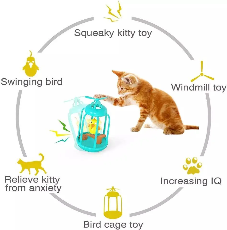 Interactive for Indoor Kitten Bird Cage Cat Toys Pet Supplies Cats Chase Toy Birthday Gift